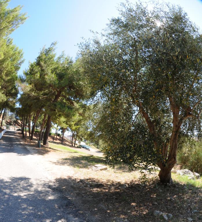Villaggio Santo Stefano Vieste Exterior foto
